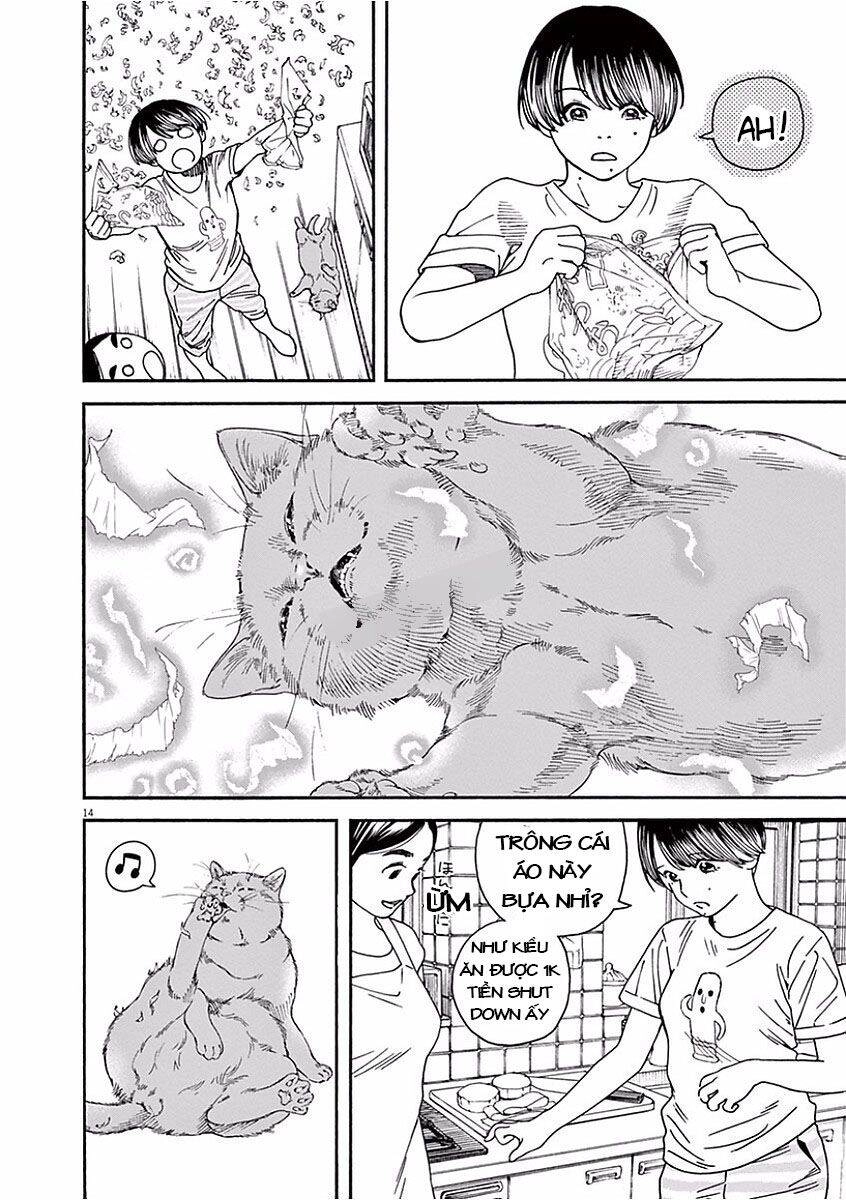 Neko No Otera No Chion-San Chapter 37 - 15