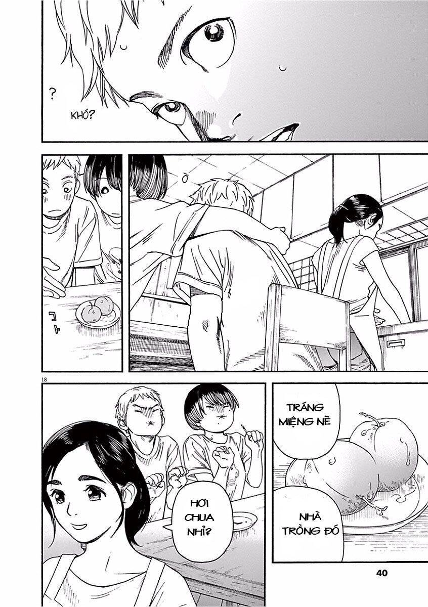 Neko No Otera No Chion-San Chapter 37 - 19