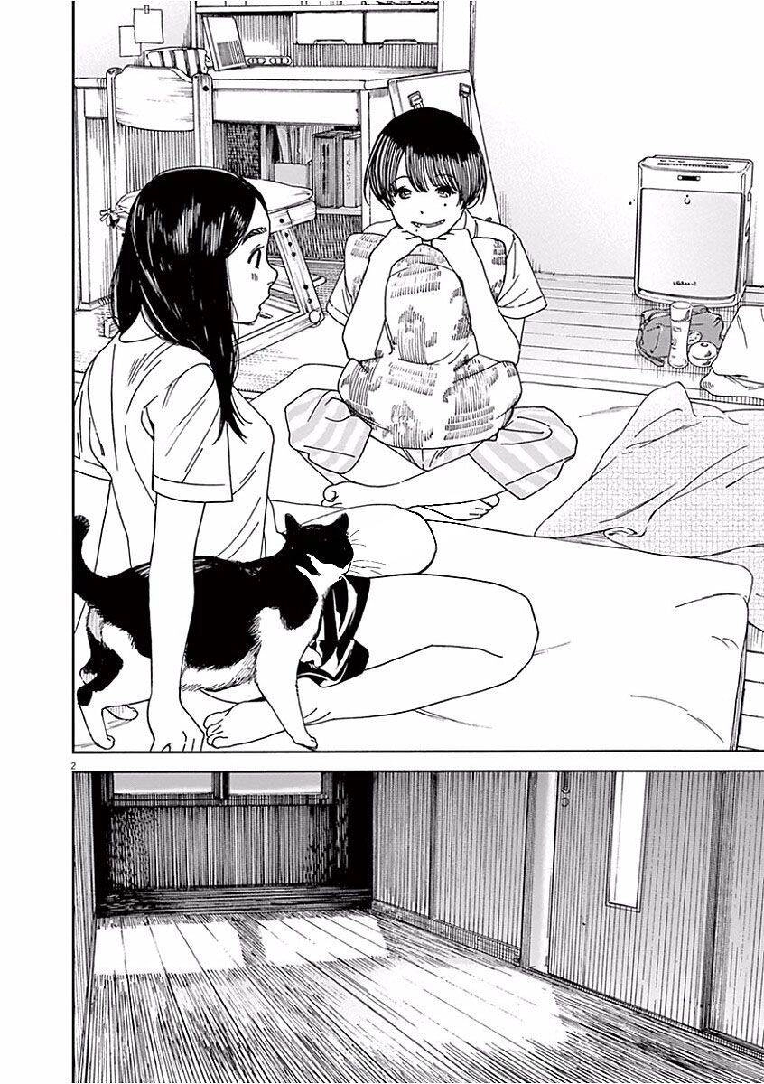 Neko No Otera No Chion-San Chapter 38 - 3