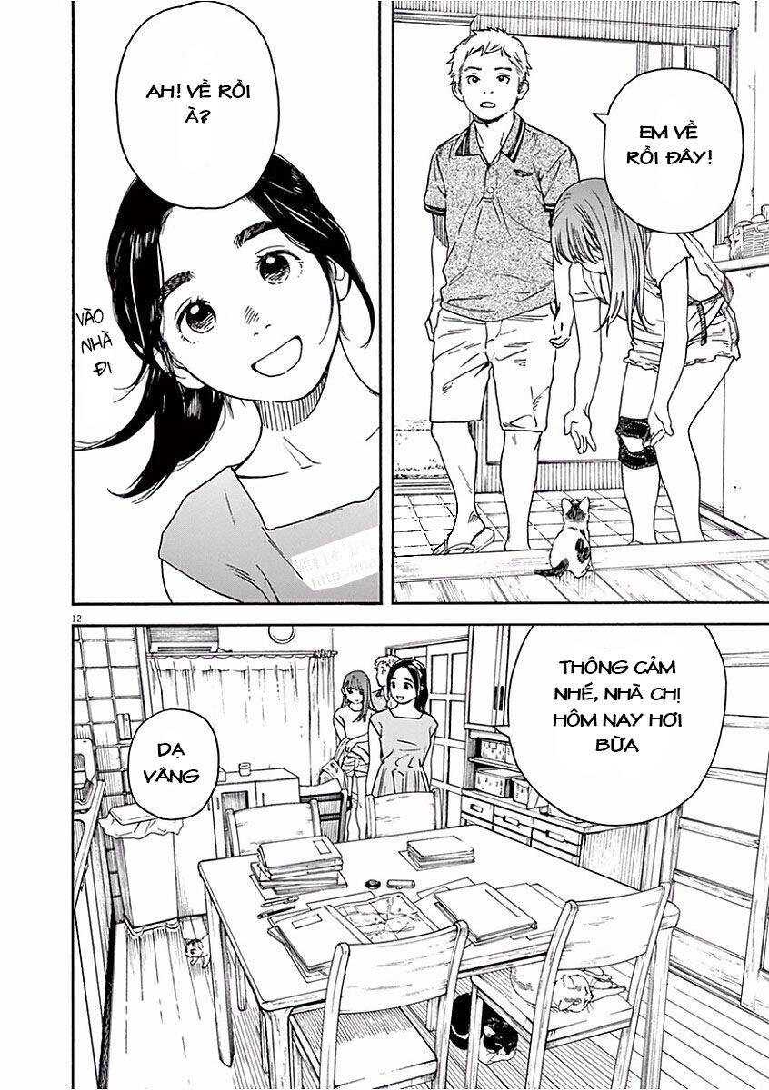 Neko No Otera No Chion-San Chapter 40 - 13