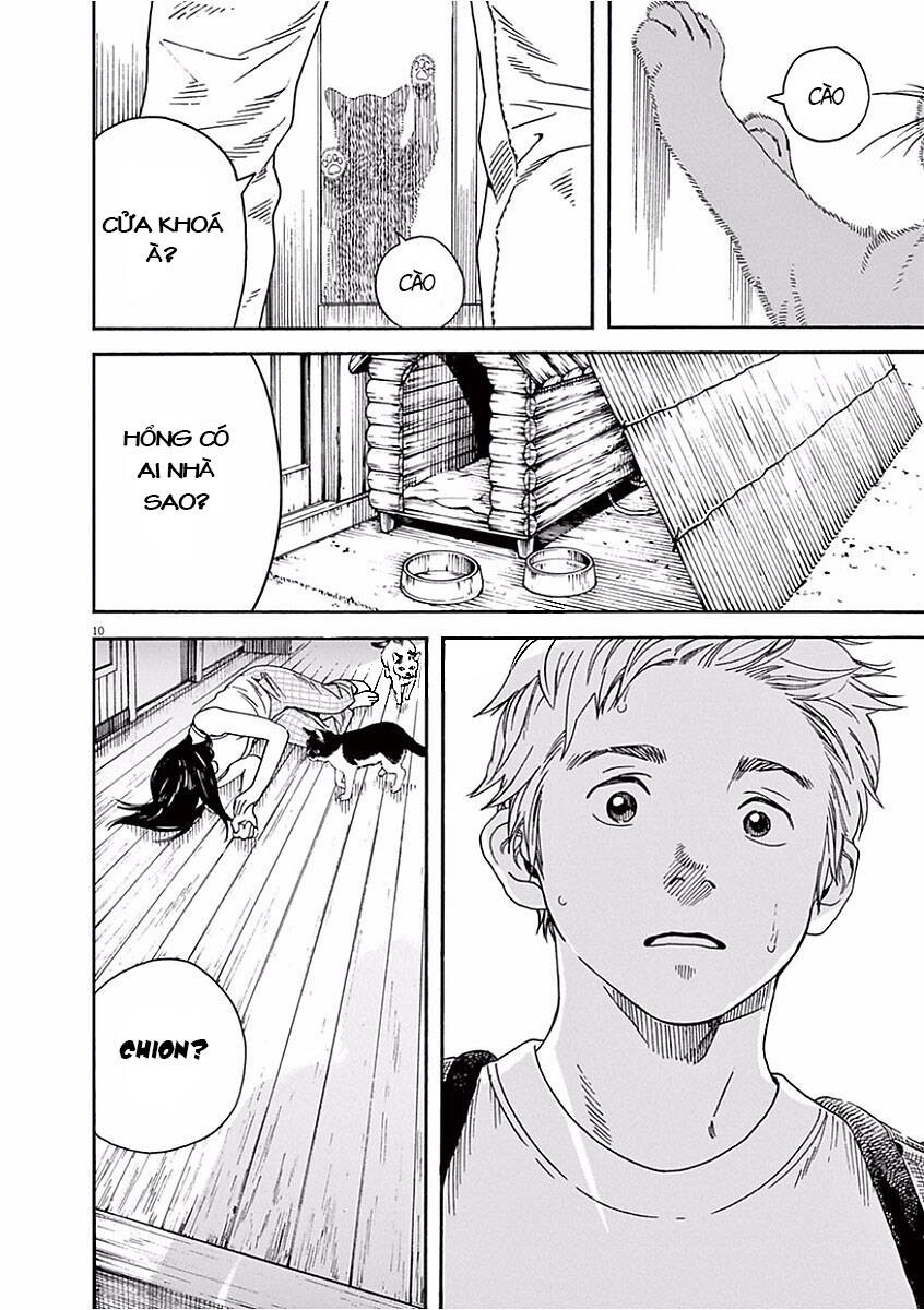 Neko No Otera No Chion-San Chapter 42 - 11