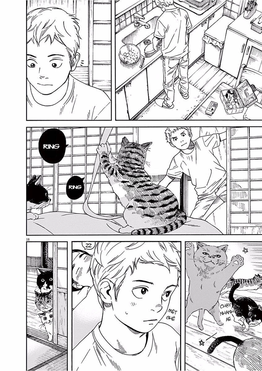 Neko No Otera No Chion-San Chapter 42 - 19