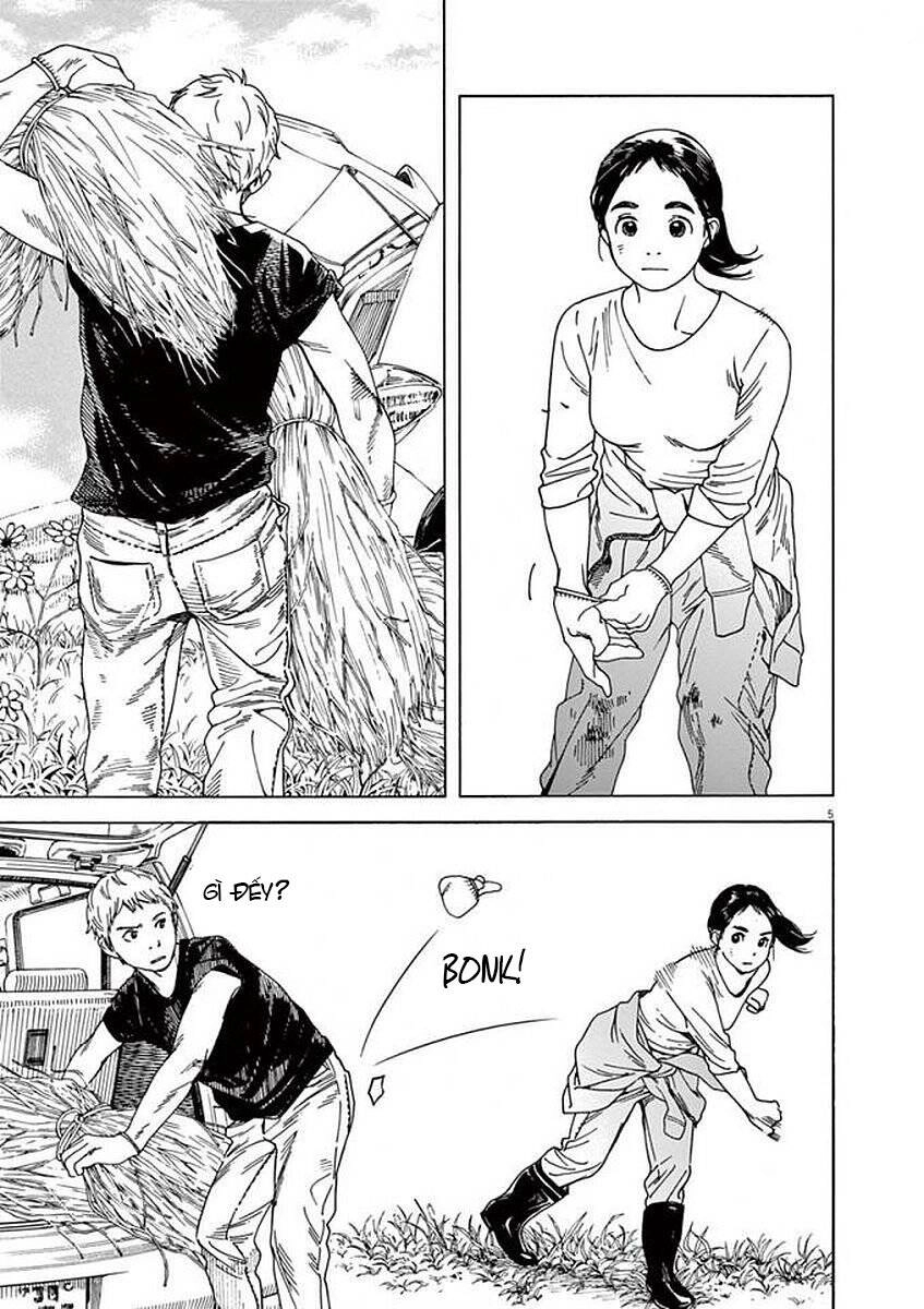 Neko No Otera No Chion-San Chapter 47 - 6