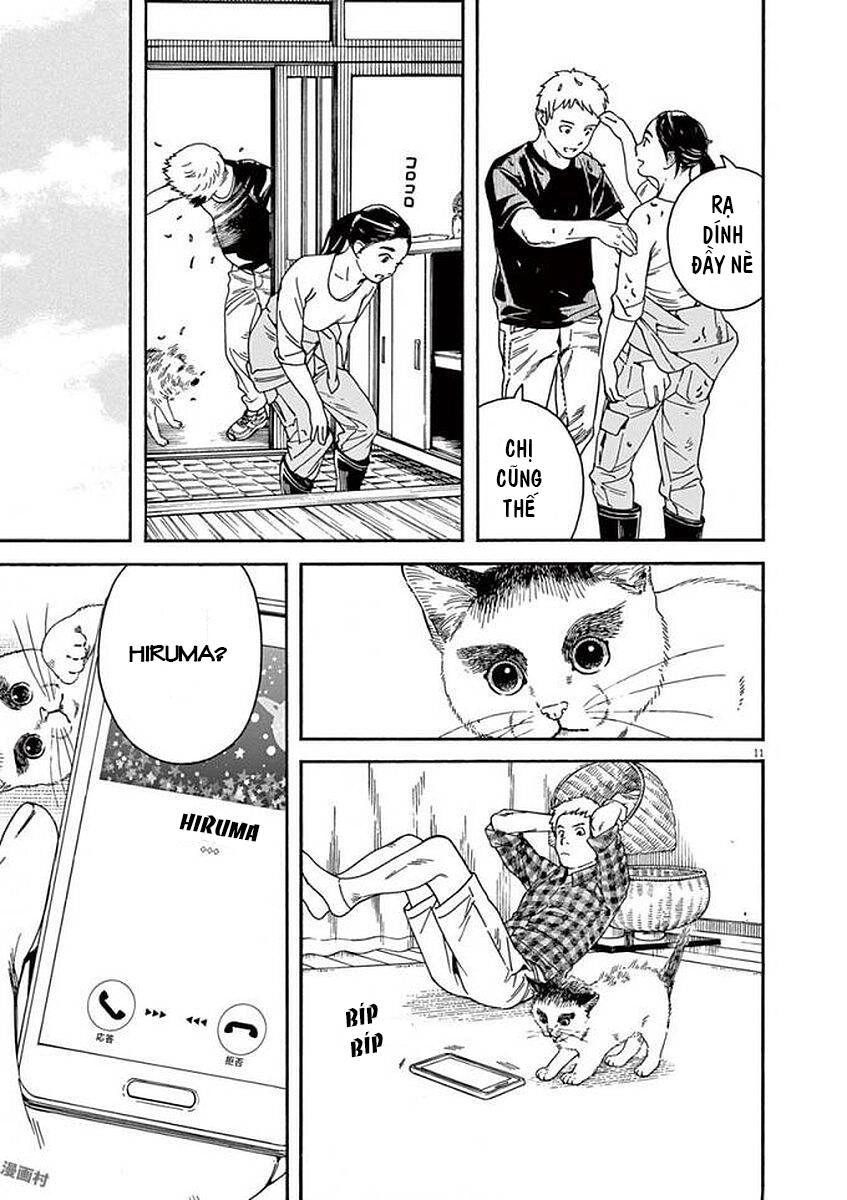 Neko No Otera No Chion-San Chapter 47 - 13