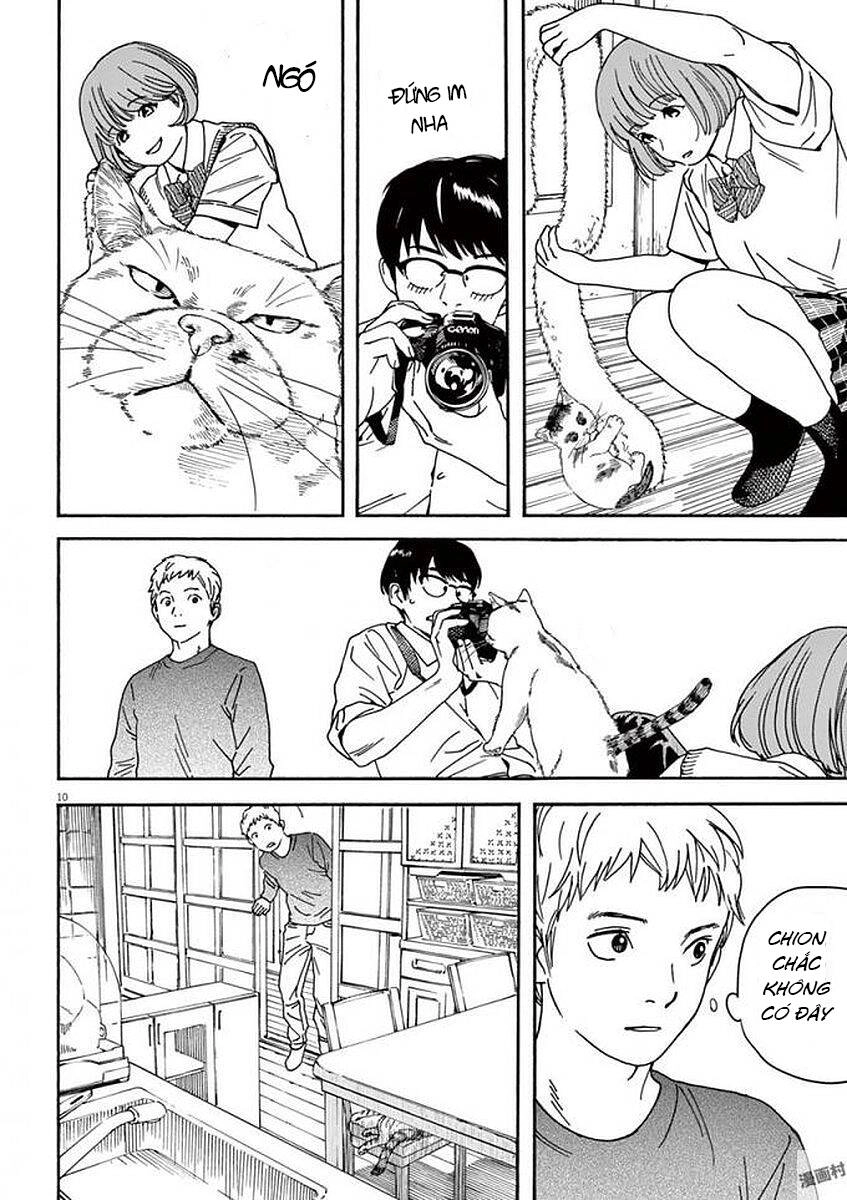 Neko No Otera No Chion-San Chapter 49 - 12