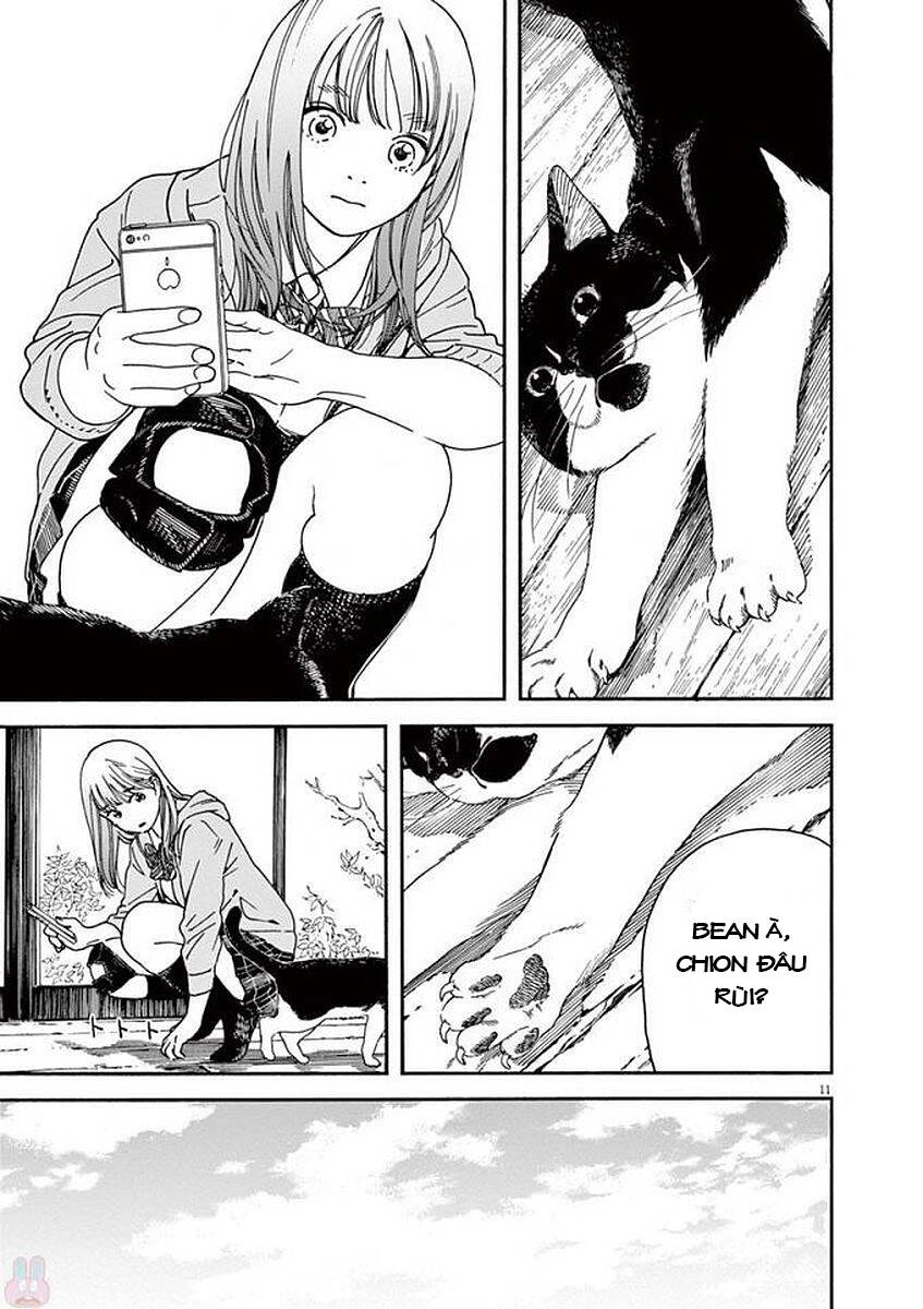 Neko No Otera No Chion-San Chapter 49 - 13