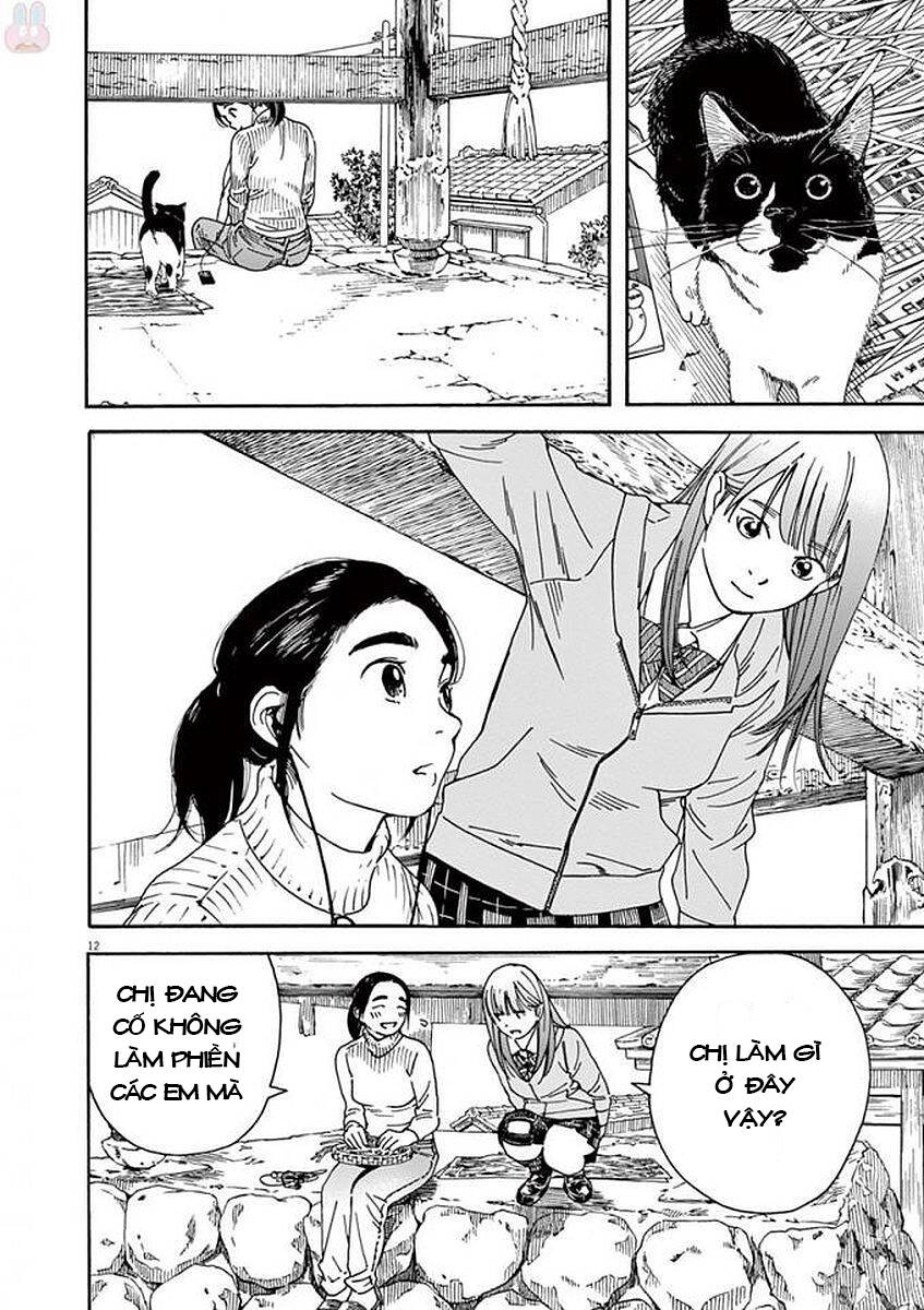 Neko No Otera No Chion-San Chapter 49 - 14