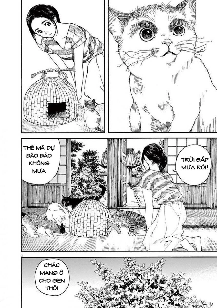 Neko No Otera No Chion-San Chapter 53 - 4