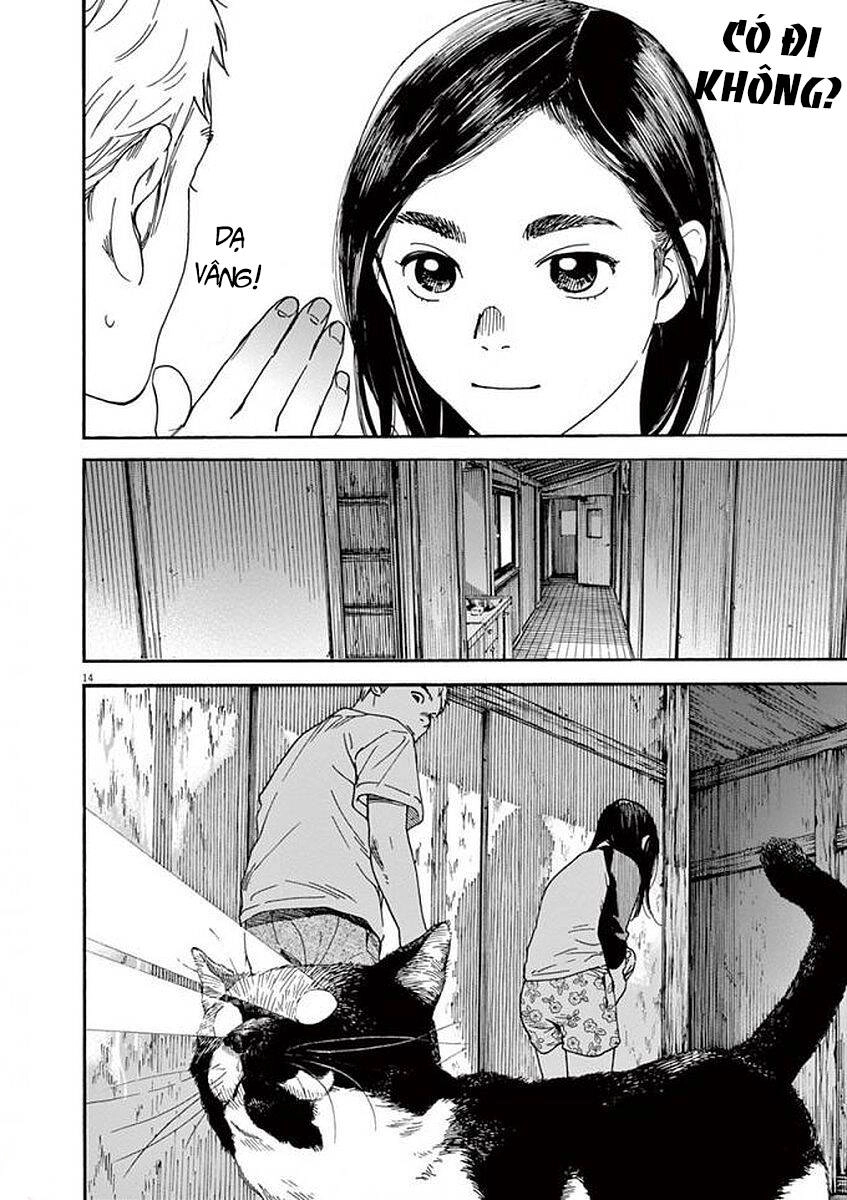 Neko No Otera No Chion-San Chapter 53 - 16