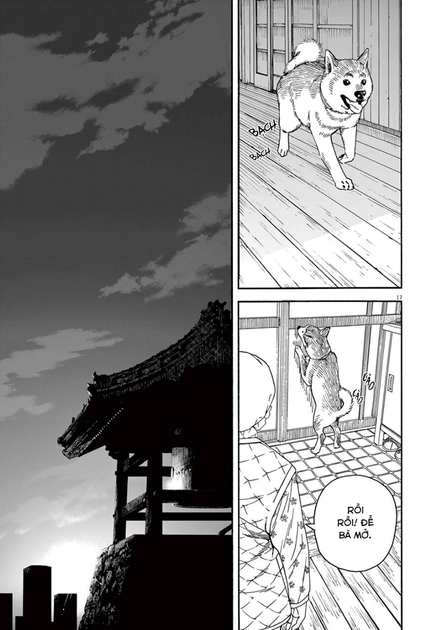 Neko No Otera No Chion-San Chapter 61 - 18