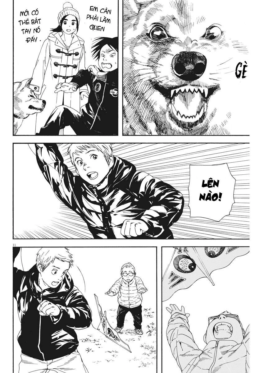 Neko No Otera No Chion-San Chapter 62 - 12