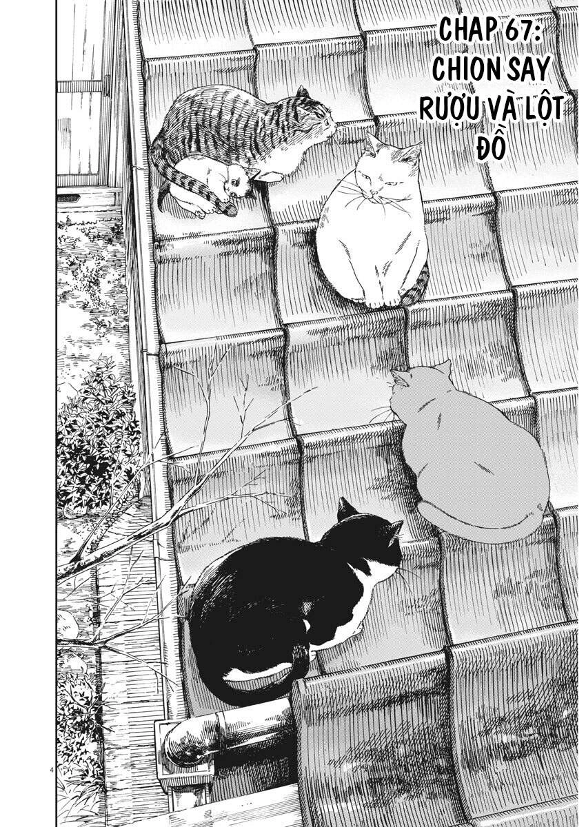 Neko No Otera No Chion-San Chapter 67 - 5