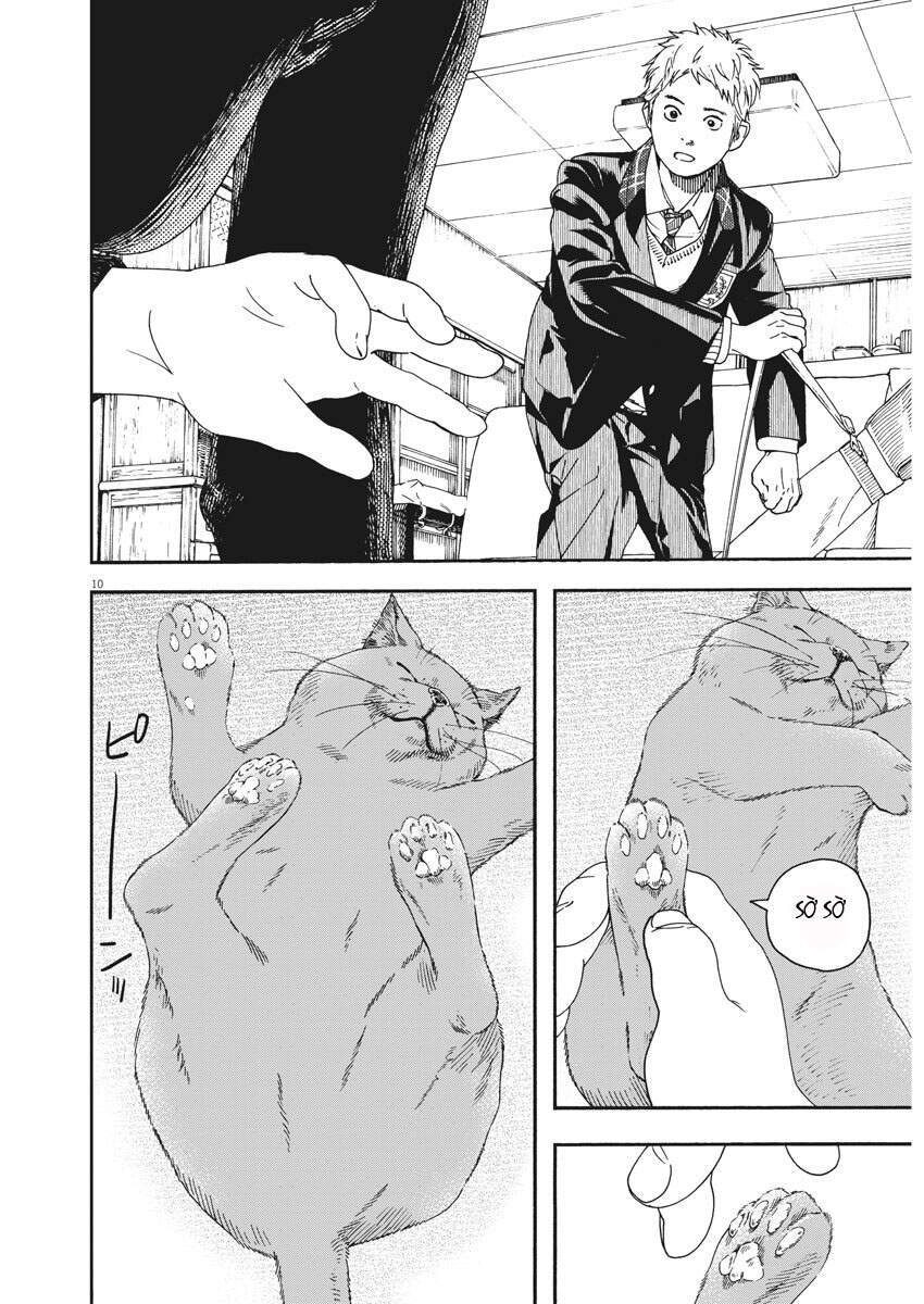 Neko No Otera No Chion-San Chapter 67 - 11