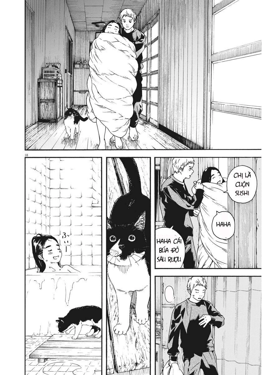 Neko No Otera No Chion-San Chapter 67 - 20