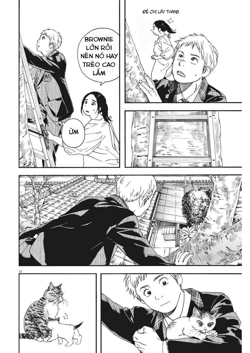 Neko No Otera No Chion-San Chapter 69 - 11