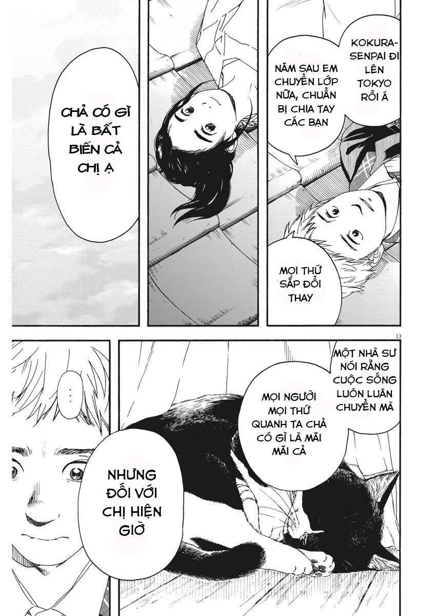 Neko No Otera No Chion-San Chapter 69 - 14