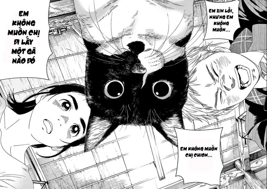 Neko No Otera No Chion-San Chapter 70 - 11