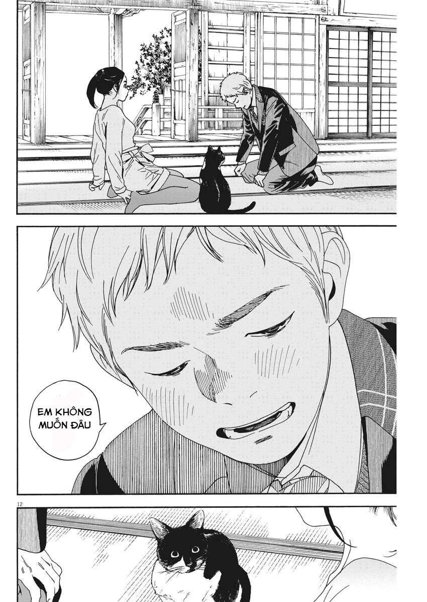 Neko No Otera No Chion-San Chapter 70 - 12