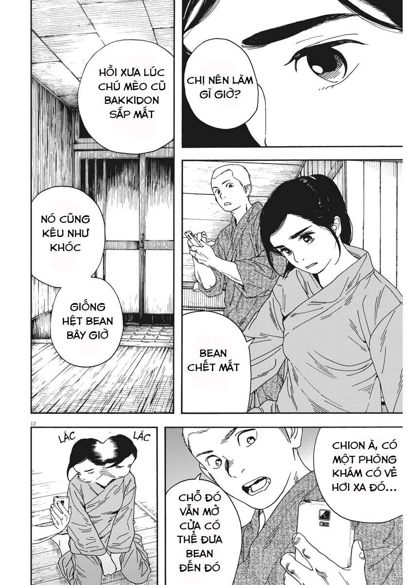 Neko No Otera No Chion-San Chapter 75 - 13