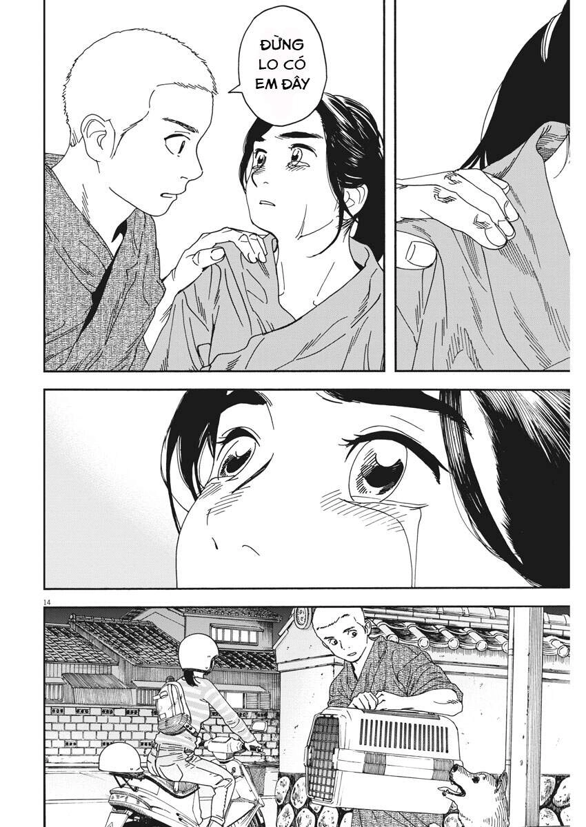 Neko No Otera No Chion-San Chapter 75 - 15