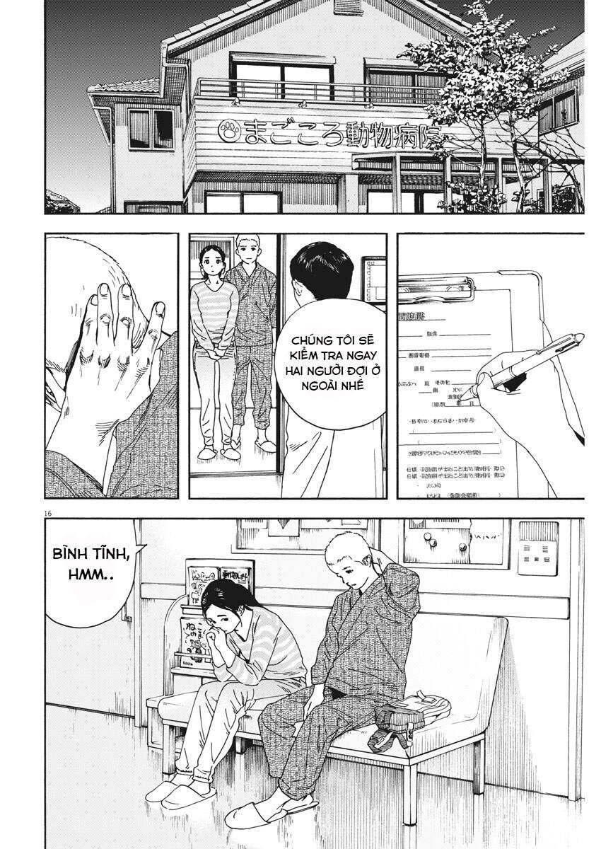 Neko No Otera No Chion-San Chapter 75 - 17