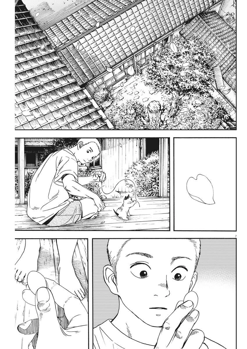 Neko No Otera No Chion-San Chapter 77 - 8