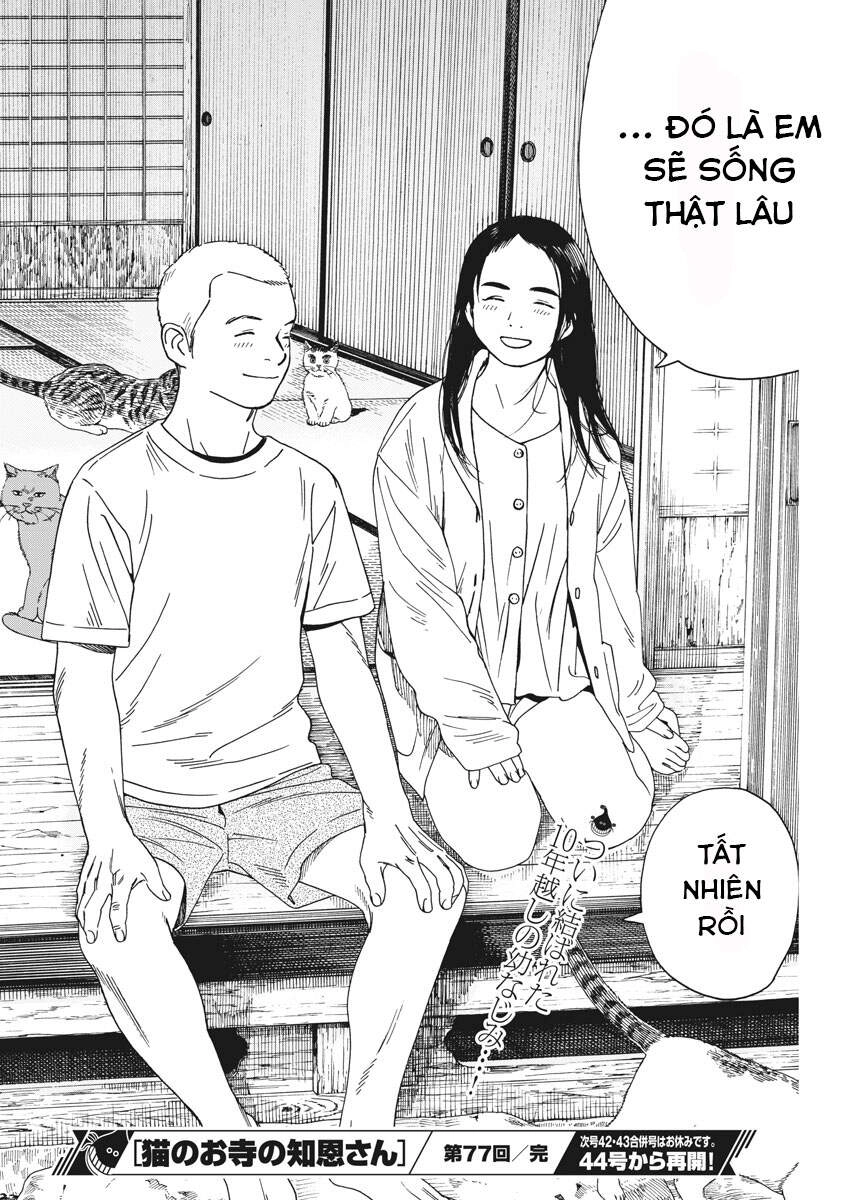 Neko No Otera No Chion-San Chapter 77 - 19