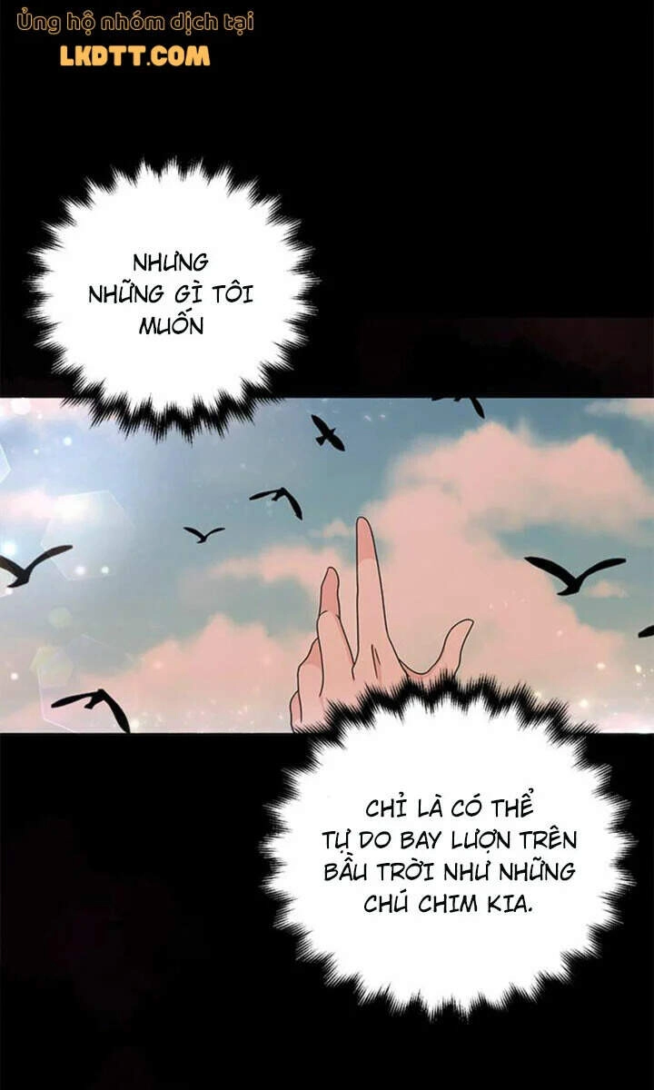 Nữ Hiệp Trở Về Chapter 24 - 55