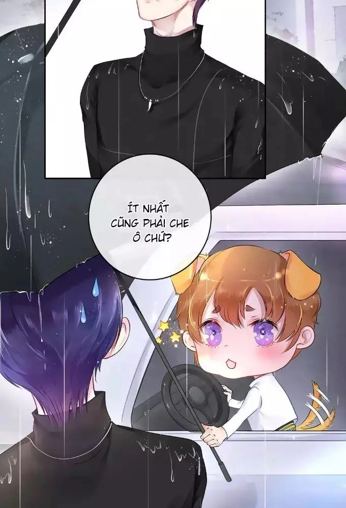 Chung Cư Của Các Ảnh Đế Chapter 4 - 12