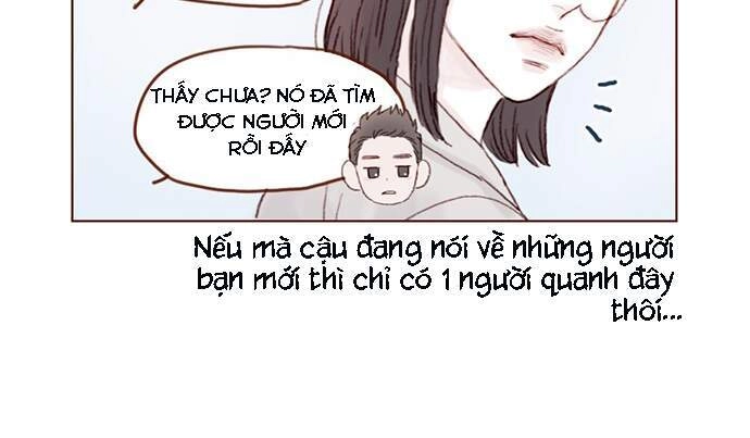 Hongshi Thích Tôi! Chapter 39 - 12