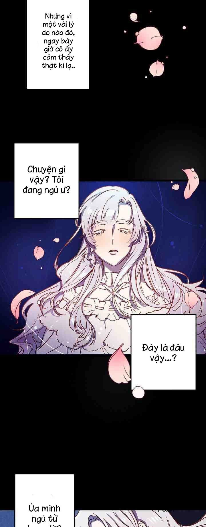 Hôn Lễ Báo Thù Chapter 1 - 3