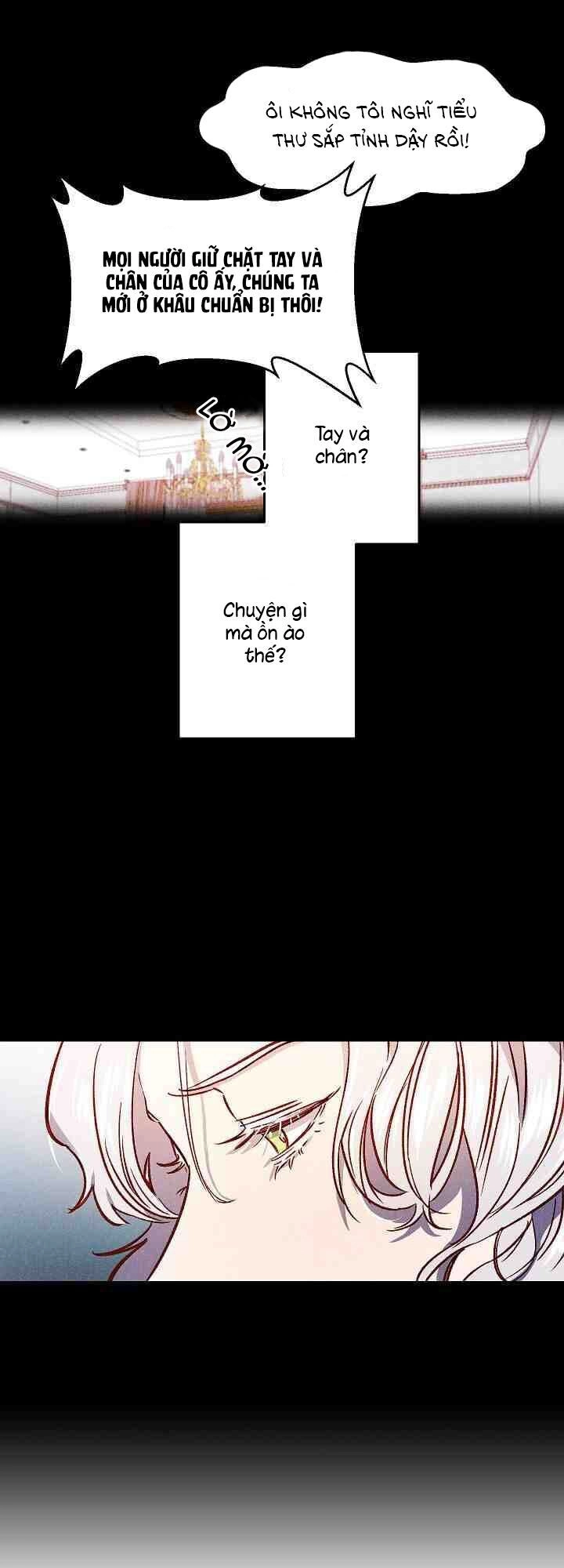 Hôn Lễ Báo Thù Chapter 1 - 5