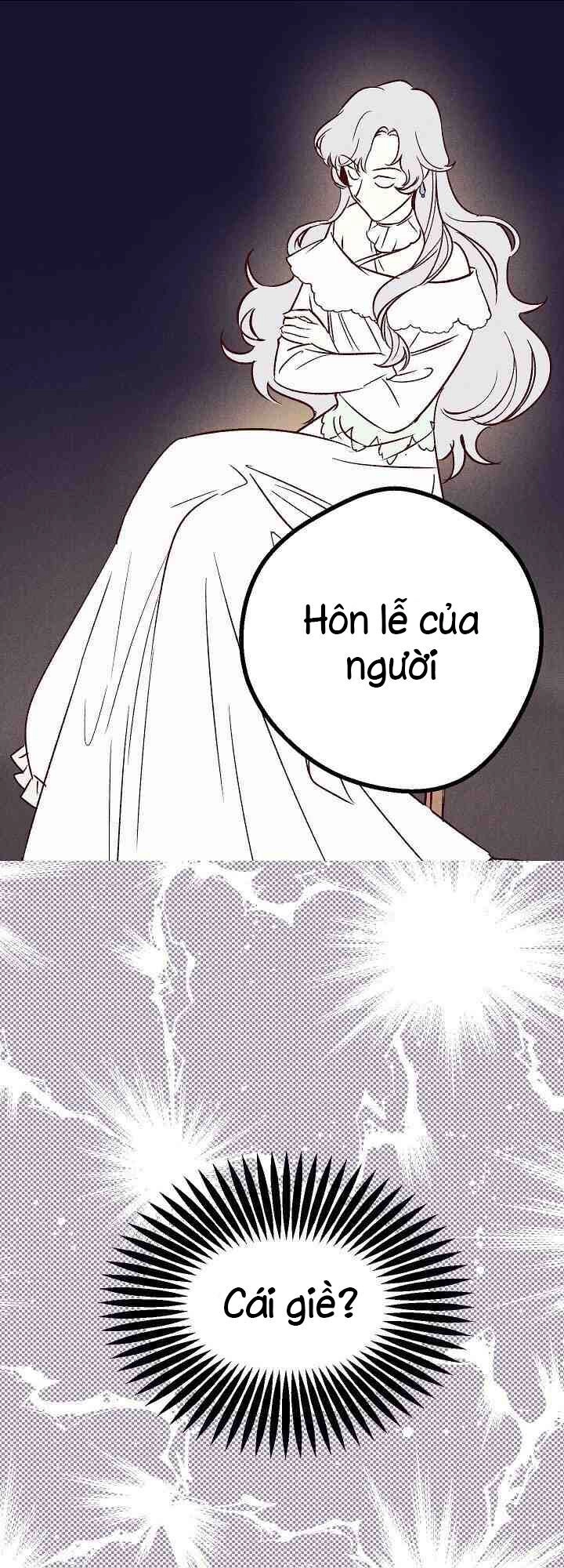 Hôn Lễ Báo Thù Chapter 1 - 17