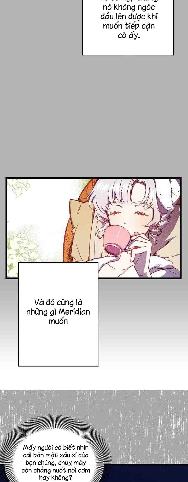 Hôn Lễ Báo Thù Chapter 1 - 31