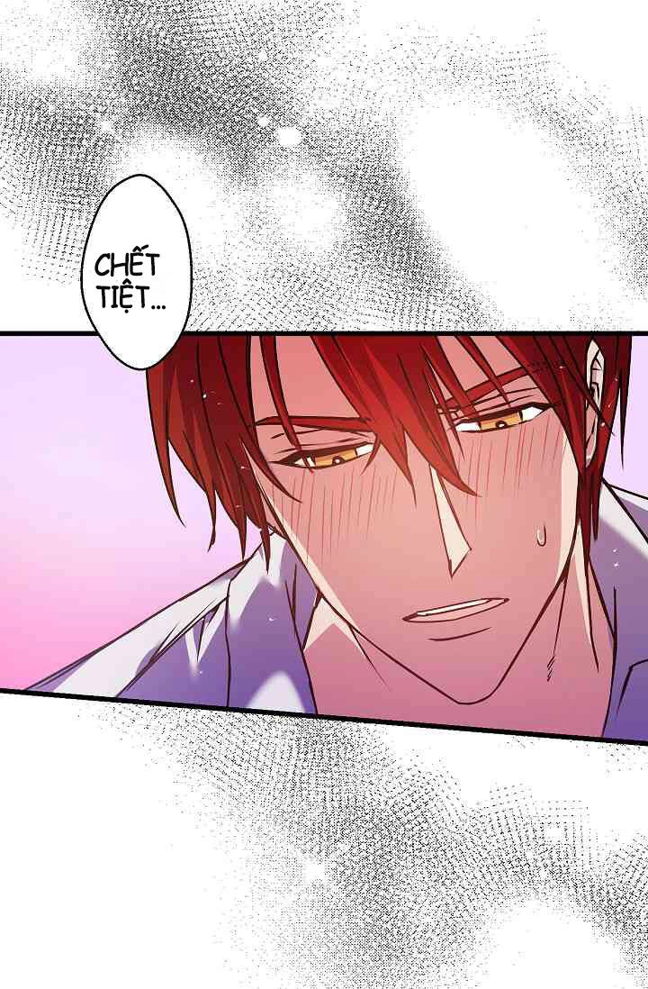 Hôn Lễ Báo Thù Chapter 9 - 15