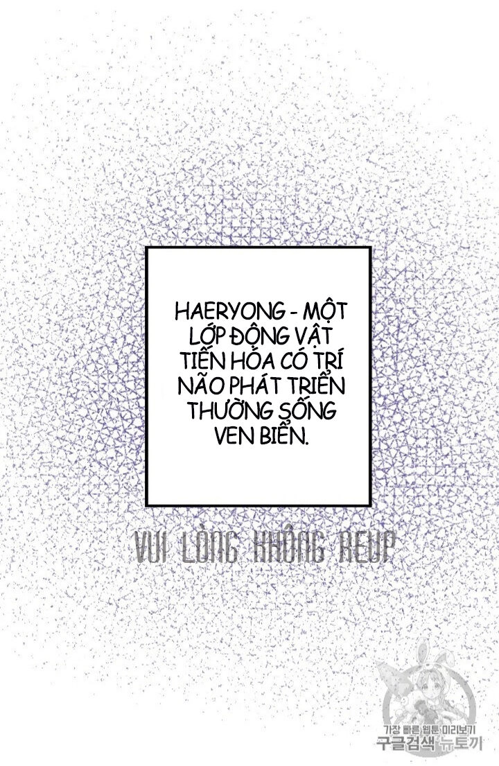 Hôn Lễ Báo Thù Chapter 13 - 34