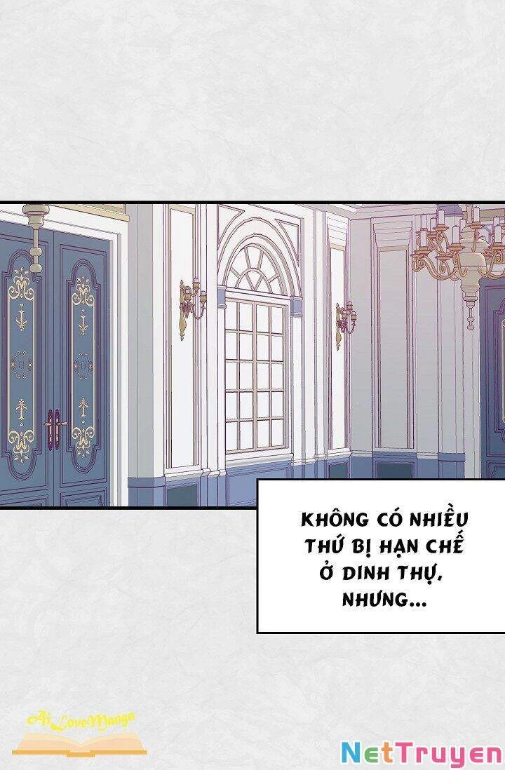 Hôn Lễ Báo Thù Chapter 26 - 36