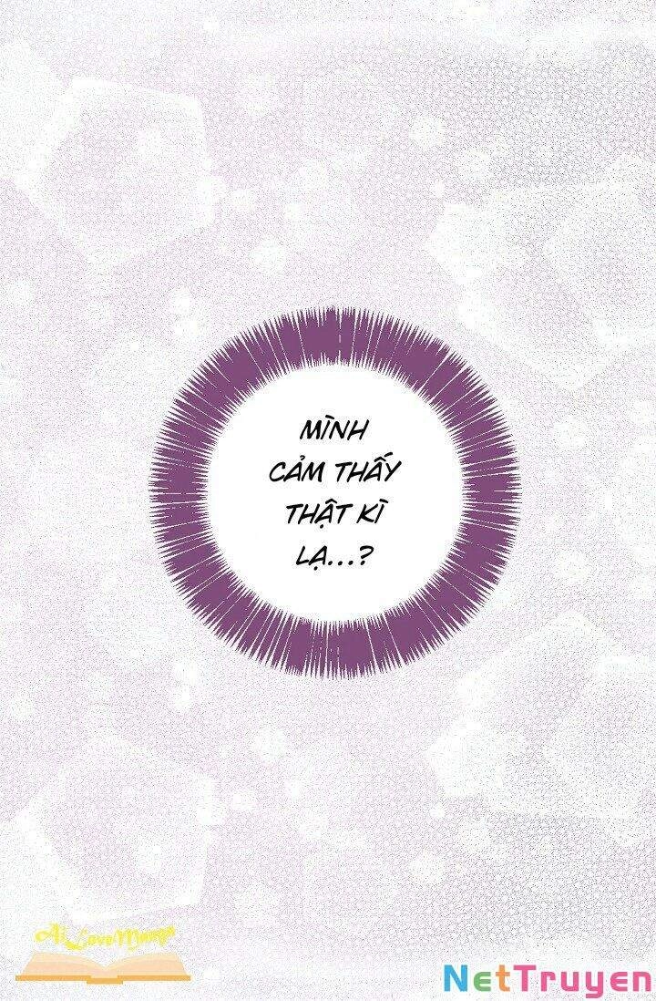 Hôn Lễ Báo Thù Chapter 36 - 34