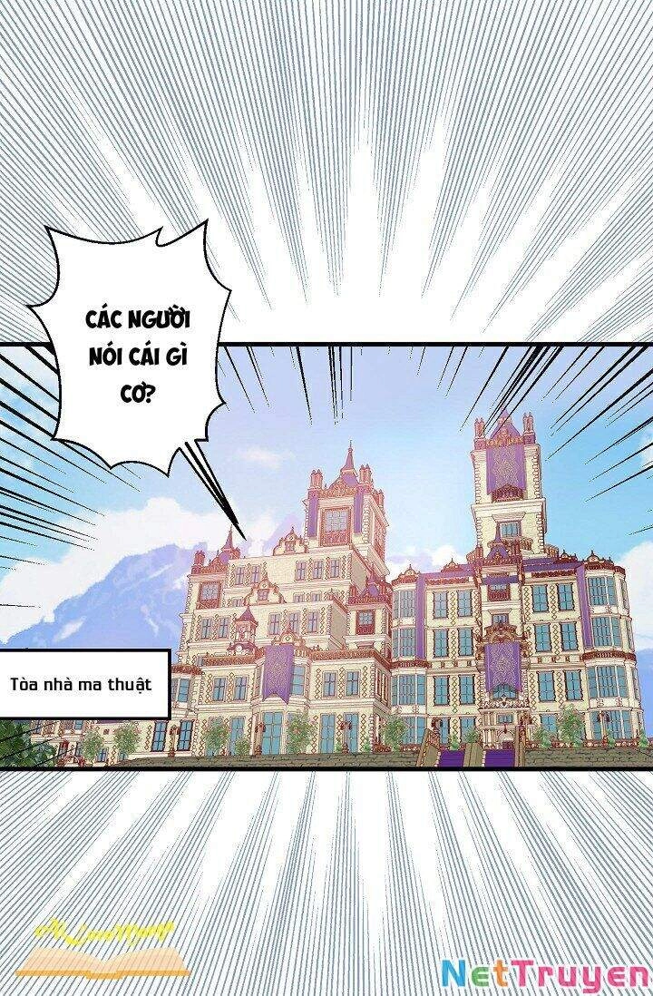 Hôn Lễ Báo Thù Chapter 37 - 5