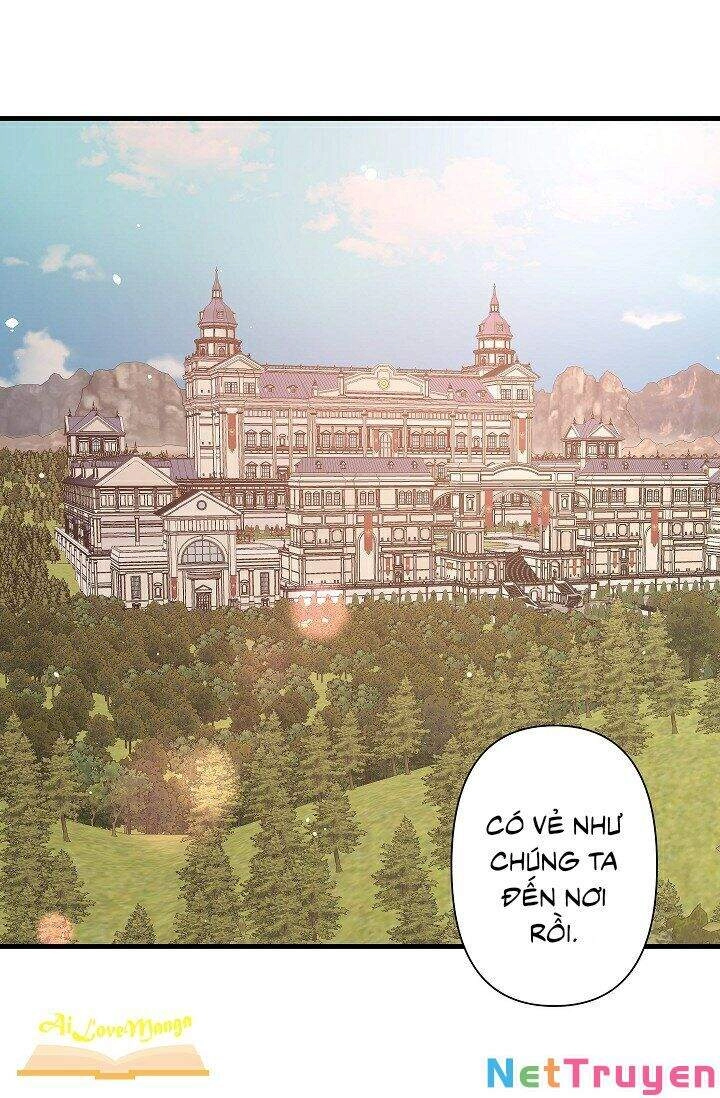 Hôn Lễ Báo Thù Chapter 37 - 51