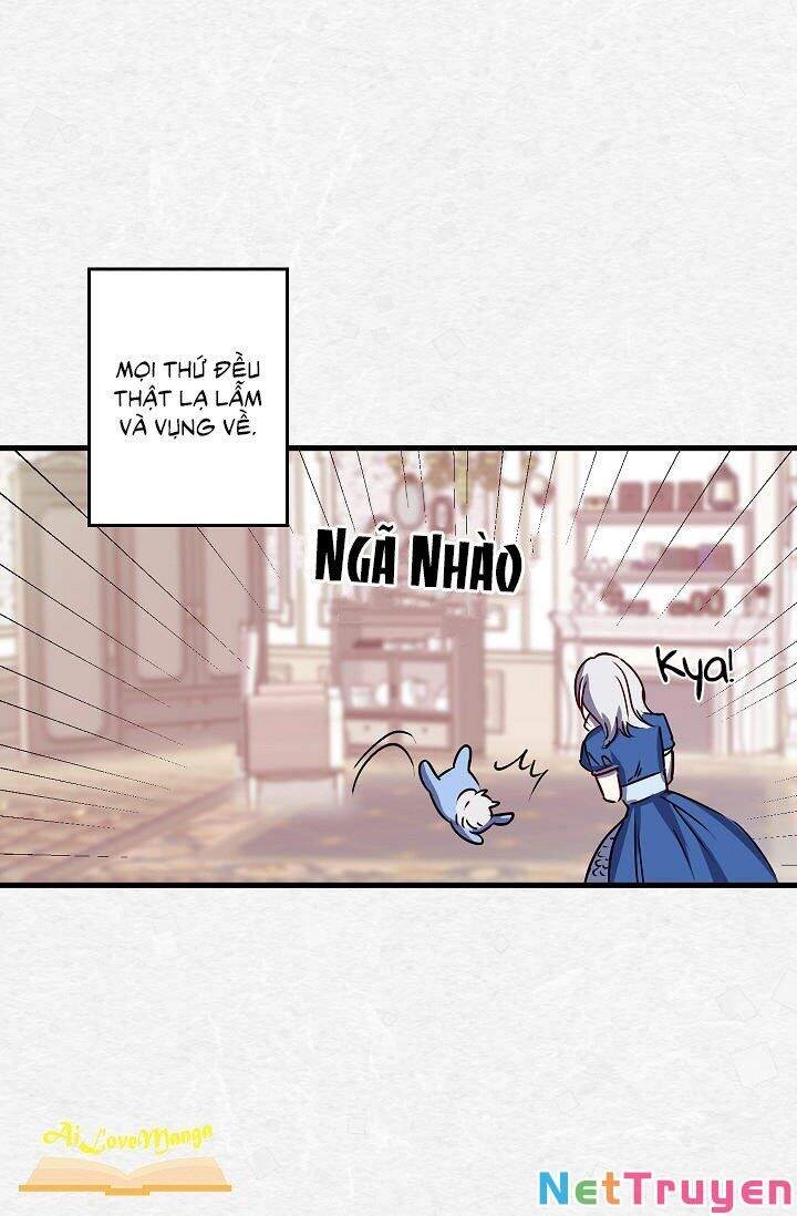 Hôn Lễ Báo Thù Chapter 41 - 11