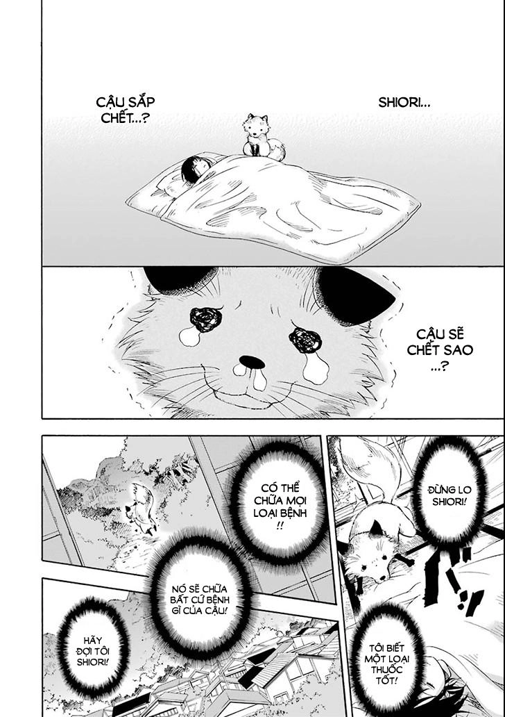 Vị Thần Ma Cà Rồng Chapter 2 - 16