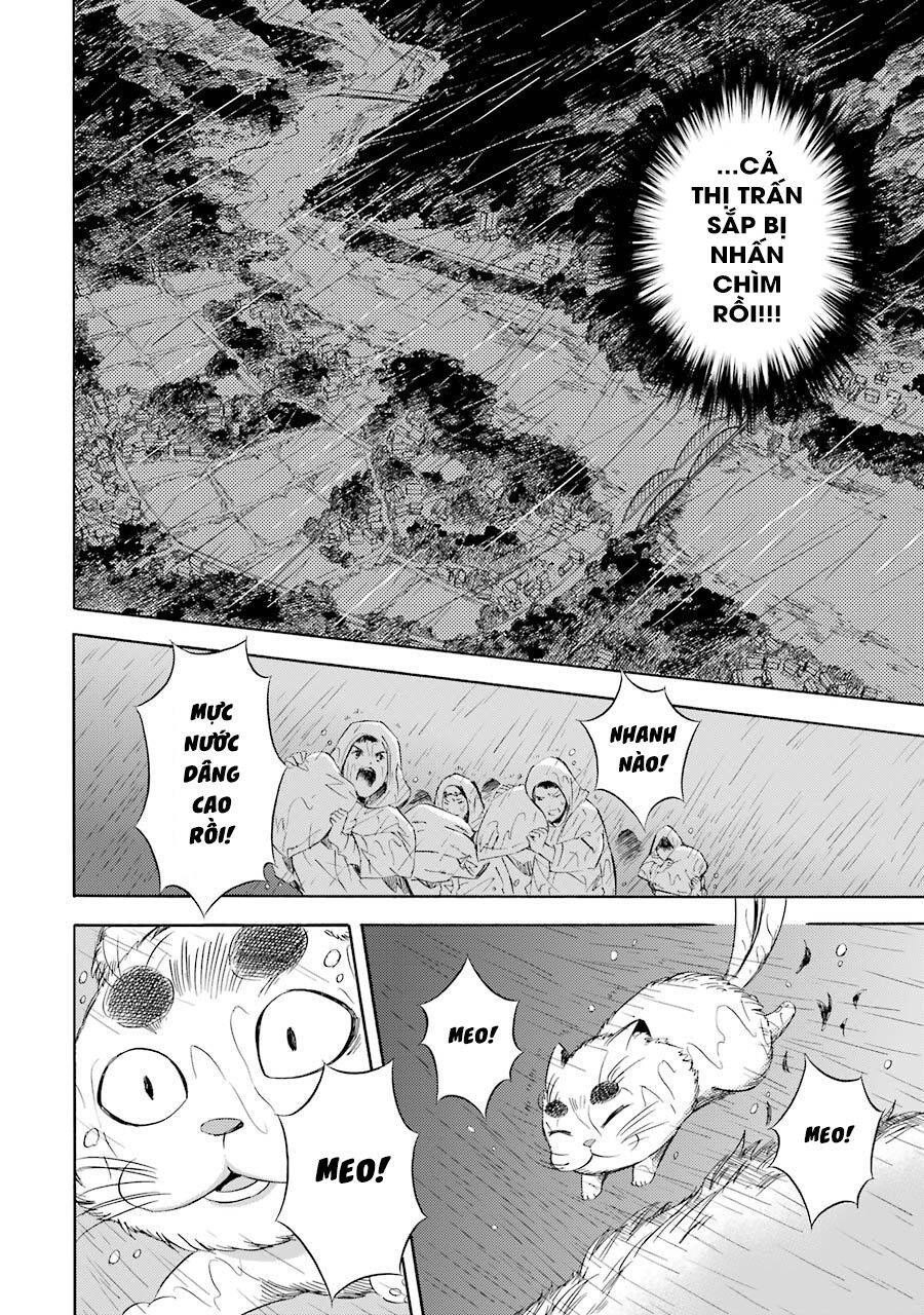 Vị Thần Ma Cà Rồng Chapter 20 - 7