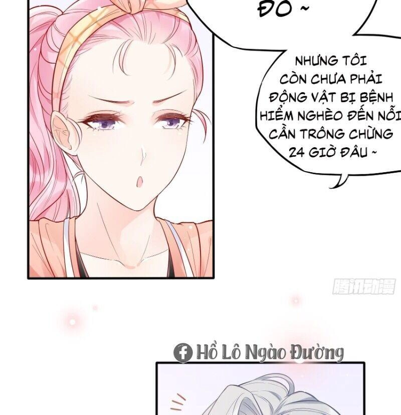 Nhật Kí Mưu Sinh Của Tra Nữ Chapter 61 - 26