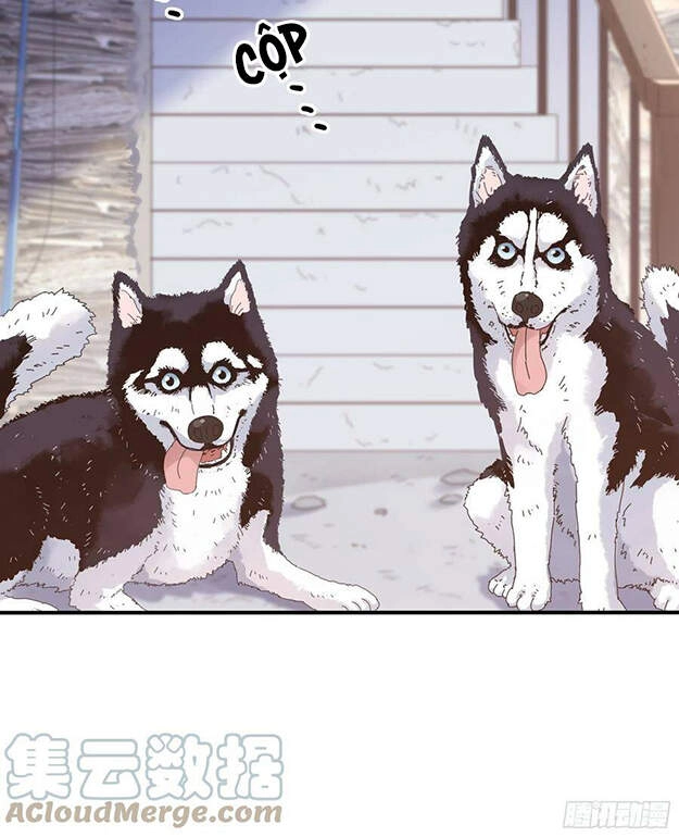 Nhật Kí Mưu Sinh Của Tra Nữ Chapter 99 - 22