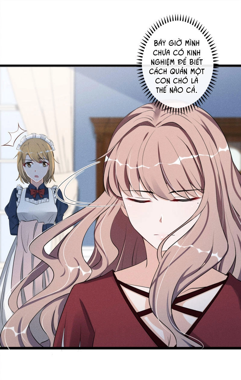 Cạm Bẫy Lửa Tình Chapter 11 - 11