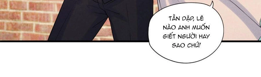 Cạm Bẫy Lửa Tình Chapter 73 - 27