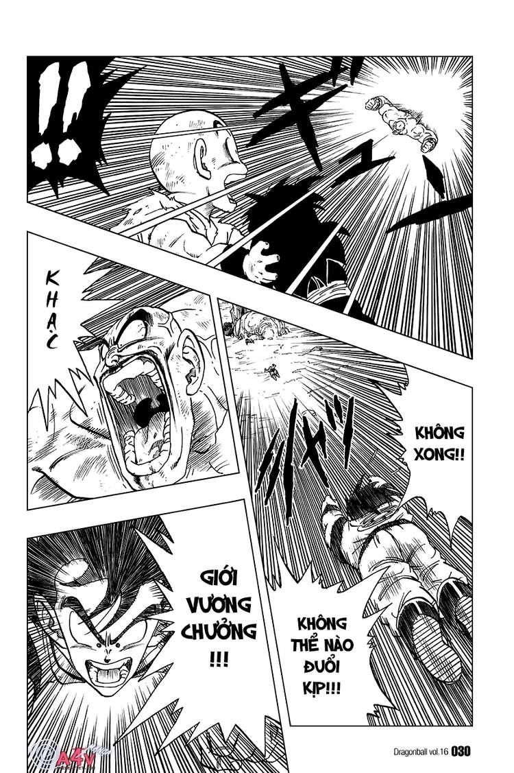 7 Viên Ngọc Rồng Chapter 226 - 11