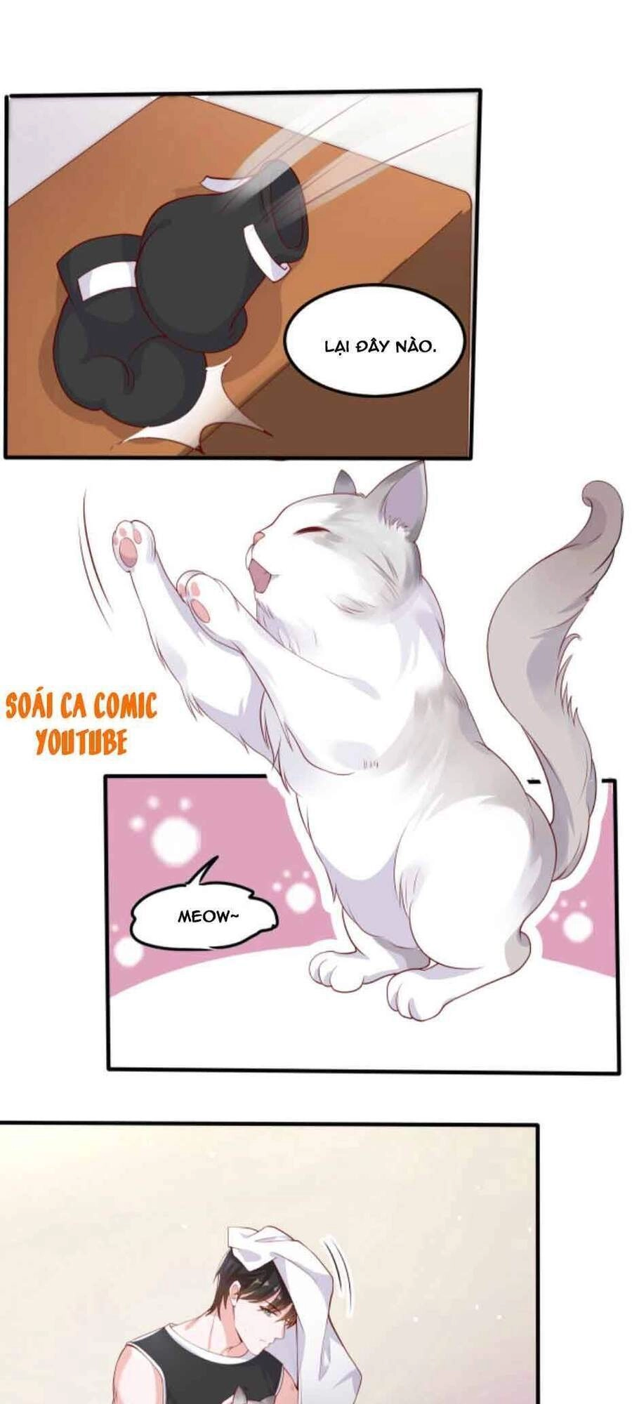 Nhất Sanh Hữu Hỉ Chapter 32 - 15