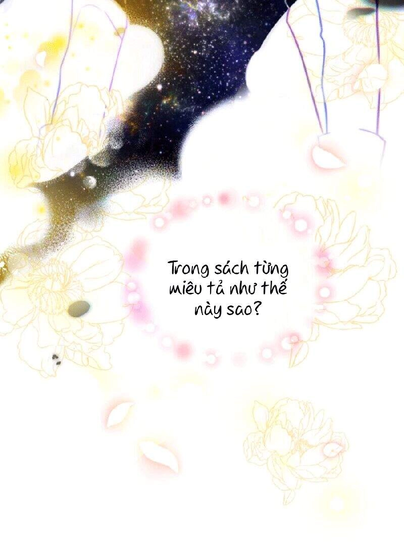 Nàng Elizabeth Thuần Khiết Chapter 2 - 6